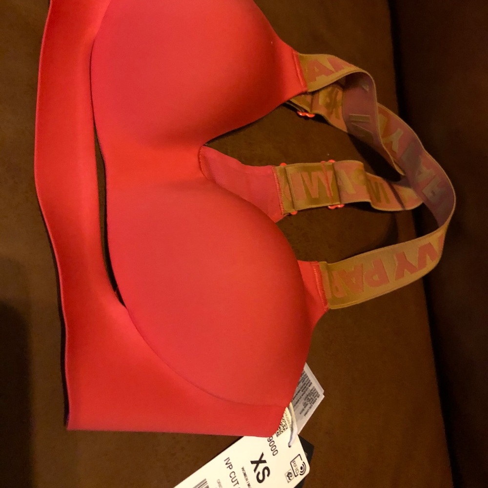 New Ivy Park Sports Bra